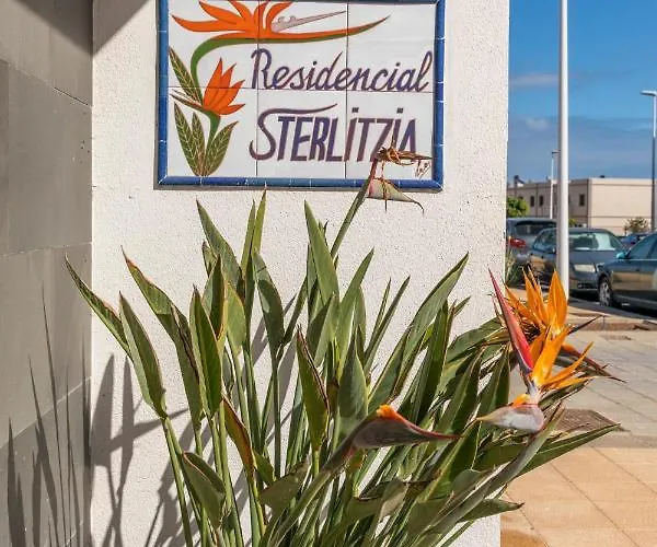 Medano4you The Strelitzia *