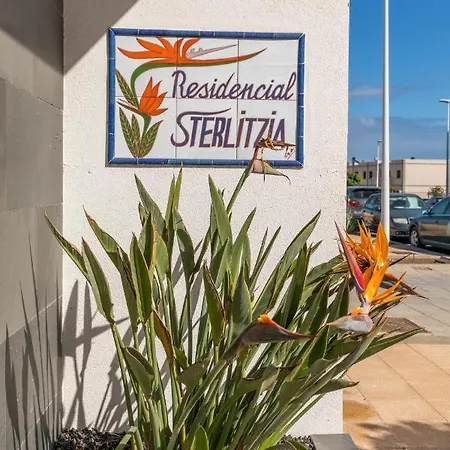 Medano4you The Strelitzia *