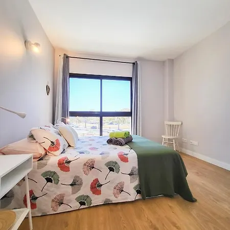 Medano4you The Strelitzia *